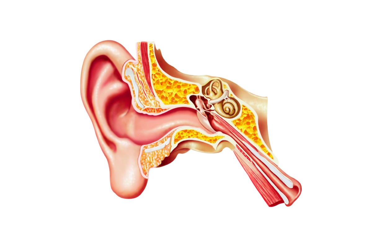 swimmers ear